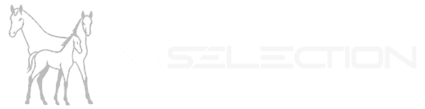 ADselect.sito.bianco