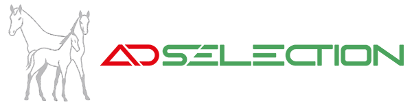 ADselect.sito.colore AD Selection